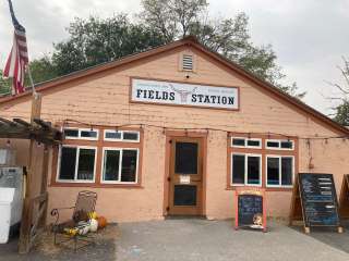 The Fields Station