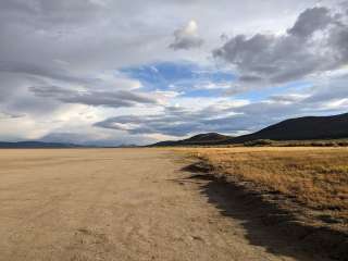 Frog Spring in Alvord Desert