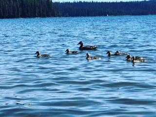 Rainbow Bay at Lake of the Woods