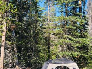 Lost Creek Campground — Crater Lake National Park