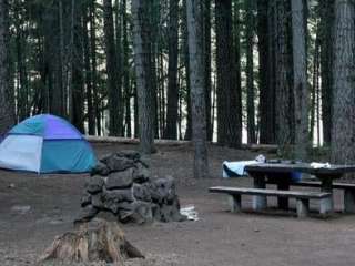 Aspen Point (lake of The Woods, Or)