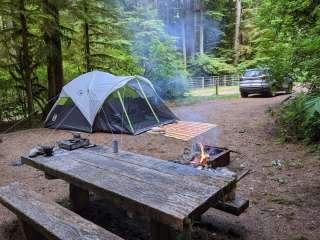 Dead Horse Creek Forest Camp