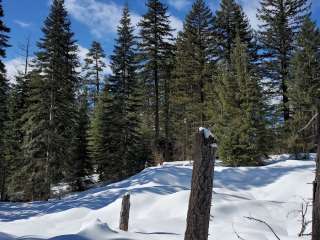 Summit Sno-Park/Trailhead