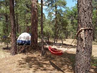 Sitgreaves National Forest Lewis Canyon Group Campground