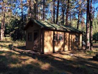 Jackson Street Forest Camp