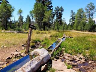 Currier Springs Horse Camp