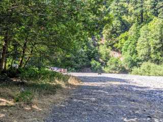 Elk River "Stony Beach" Dispersed Camping