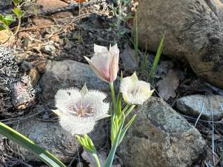 Josephine Campground