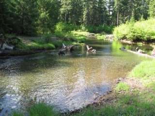 Rogue River National Forest Jim Creek Group Campground