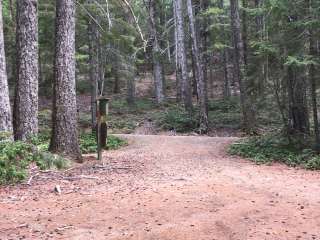 Elko Camp Recreation Site