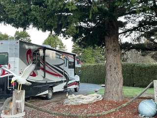 Camp Blanco RV Park