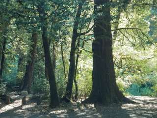 Siskiyou National Forest Butler Bar Campground