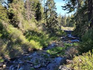 Rogue River National Forest North Fork Campground