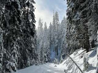 Bull Gap Sno-Park