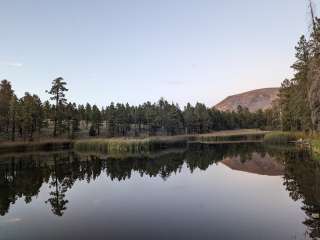 Hulsey Lake Fishing Site