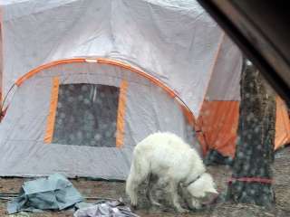 Boy Creek Campground