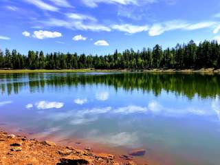 A One Lake Campground