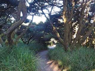 Twin Harbors State Park