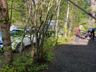 Timberland RV Park