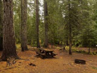 Peterson Prairie Campground