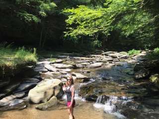 Stony Fork Creek Campground 