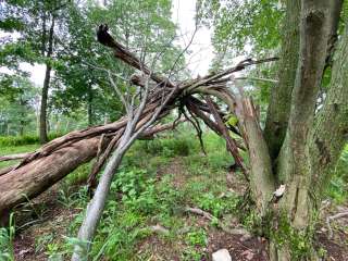 AT Ridge Campground near Lehigh Gap