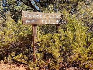 Secret Canyon Camping