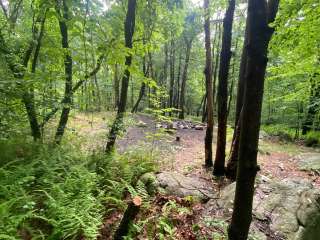 Lehigh Gap AT primitive campsite (group)