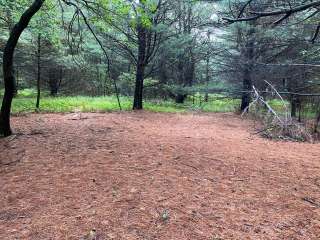 AT Group Campsite near Lehigh Gap