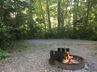 Gifford Pinchot State Park