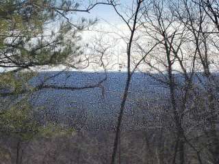 Michaux State Forest