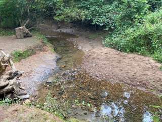 Group Camp — Ridley Creek State Park