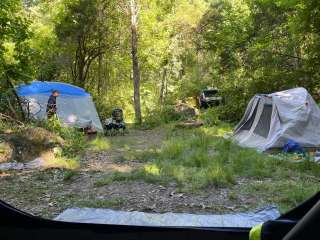 Pinchot State Park