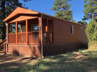 Camp Shadow Pines Organization Site