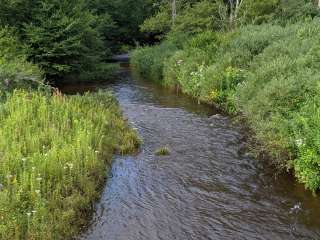 Red Mill Pond