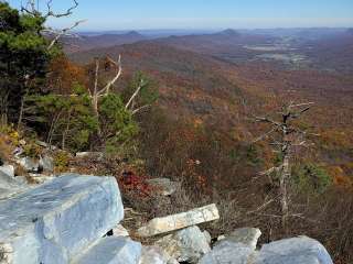 Buchanan State Forest