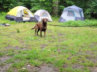 Millstone Creek Campground