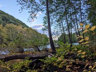 Roundbottom Hiker-Biker Campground (GAP Trail)