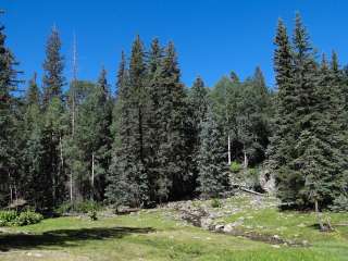 Carnero Spring Road