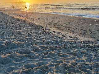 Myrtle Beach State Park