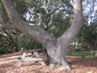 Ocean Lakes Family Campground