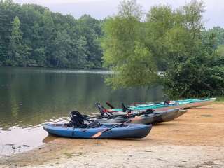 Andrew Jackson State Park