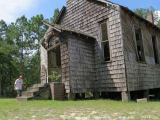 Francis Marion National Forest