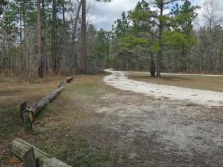 Halfway Creek - Dispersed Camping