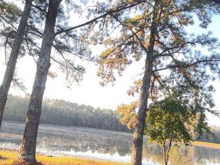 Cedar Pond Campground