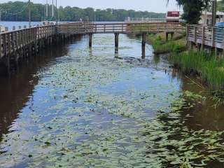 Bucksport RV Resort and Marina