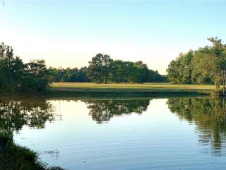 Broxton Bridge Plantation