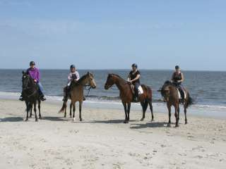 Camelot Farms Equestrian Center