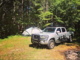 Halfway Creek Primitive Camping - TEMPORARILY CLOSED