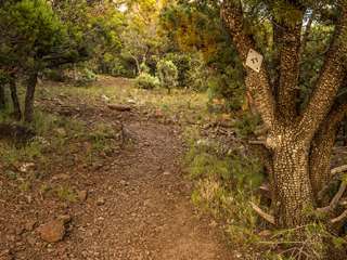 Timber Mesa Trailhead